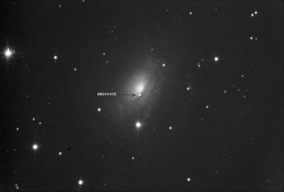 NGC3169